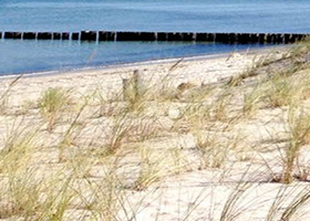 Miniaturansicht - Haus Schumann – Ferienwohnungen an der Ostsee