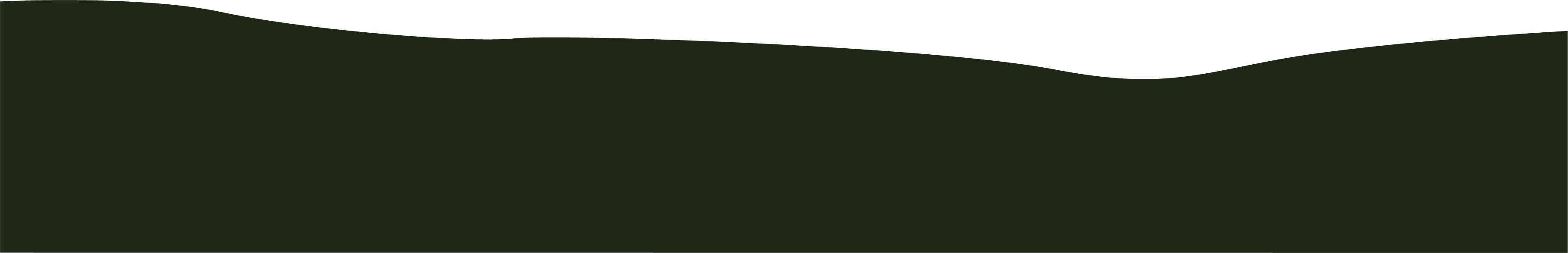 Silhouette Erde