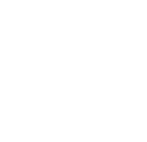 icon-domain